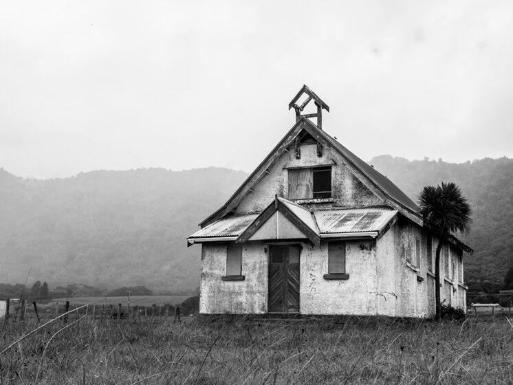 Opotiki Motu Cycle Trails And Driftwood Creatures